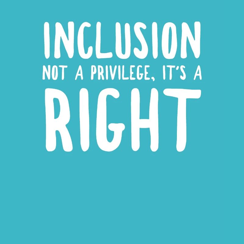 Inclusion integration law special education shirt