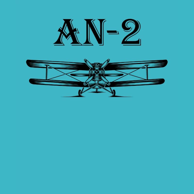 AN 2 retro aircraft aviation biplane for wei