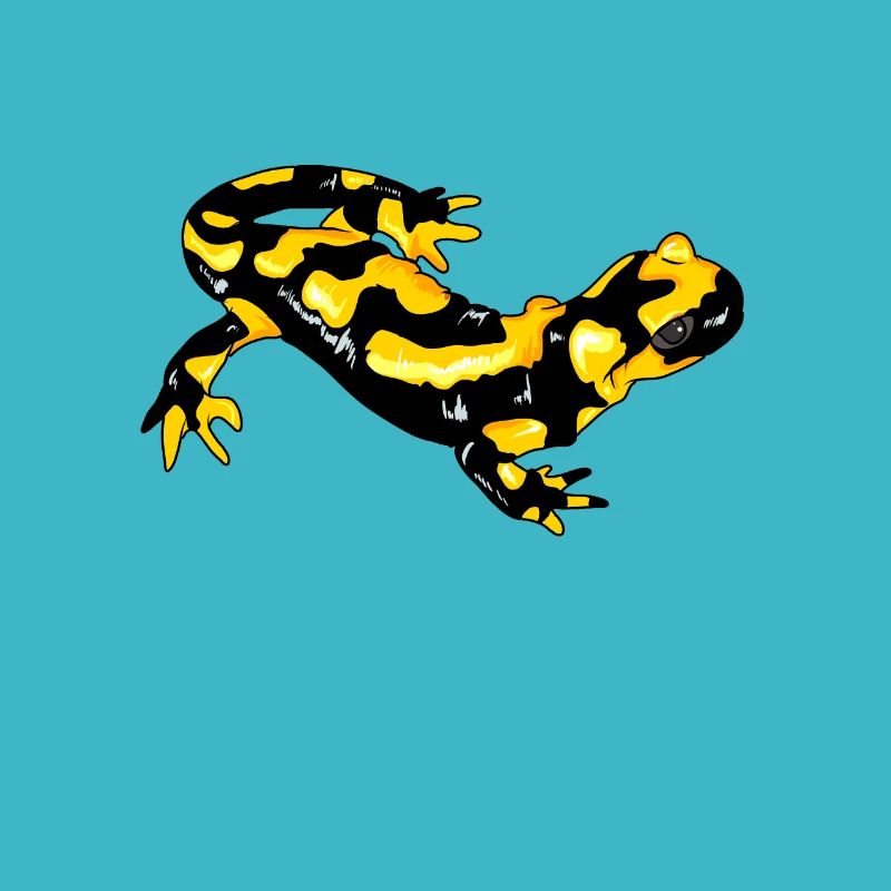 Feuersalamander Echte Salamander Feuermolch Lurch