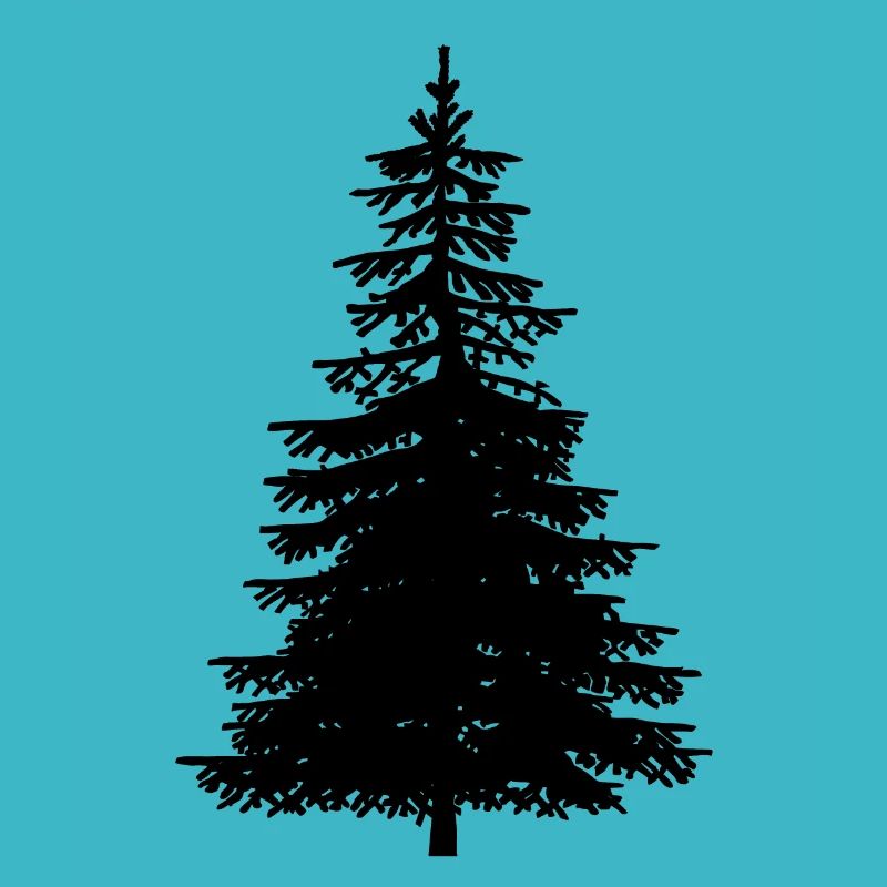 Fir Tree Nature Forest Ecology Nature Conservation Wilderness