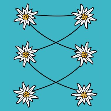 Tablier Dirndl Edelweiss