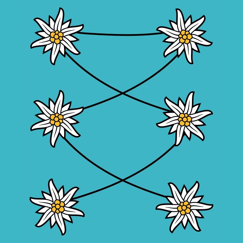 Dirndl apron Edelweiss