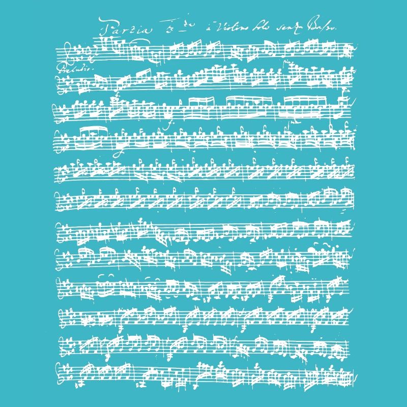 Bach Partita Nr. 3 E-Dur Violine Preludio Musik