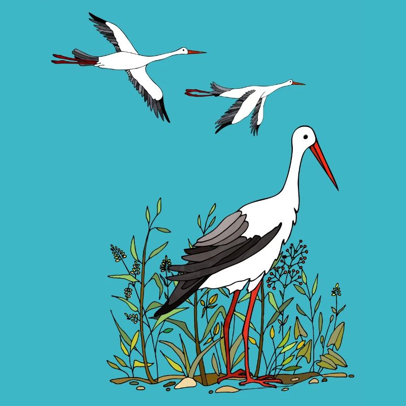 Storks