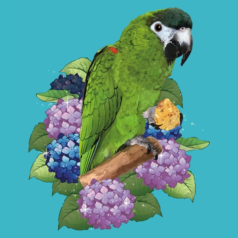 Noble Macaw