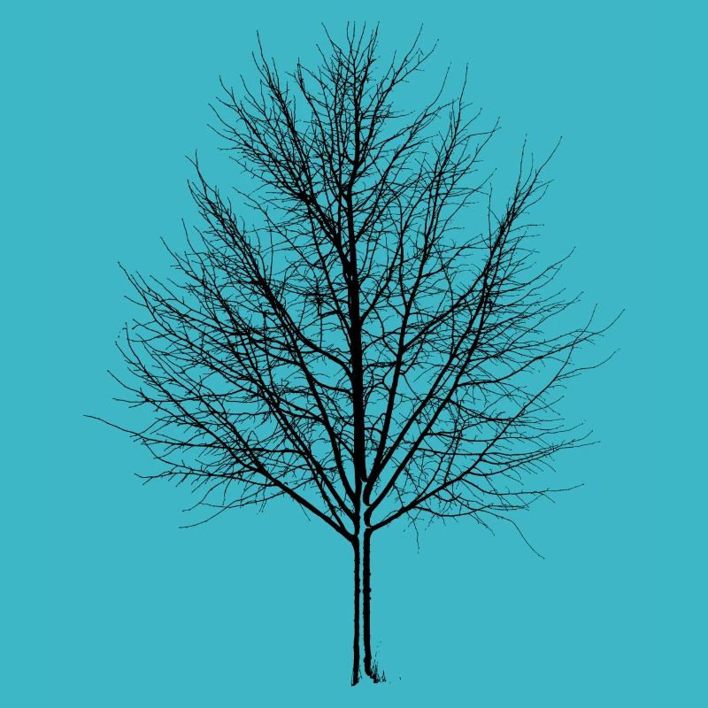 Arbre