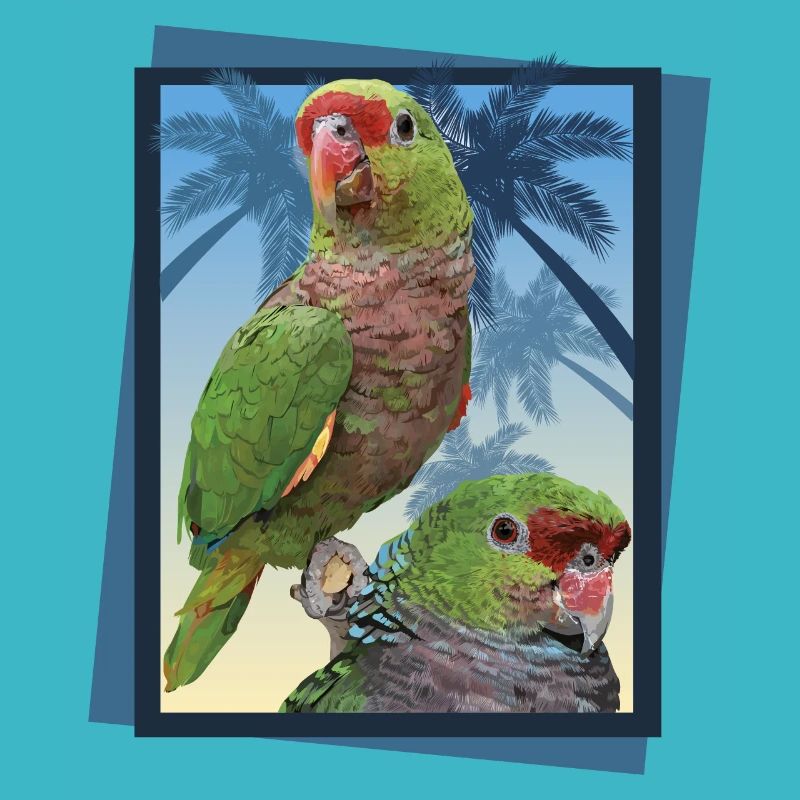 Vinaceous parrot