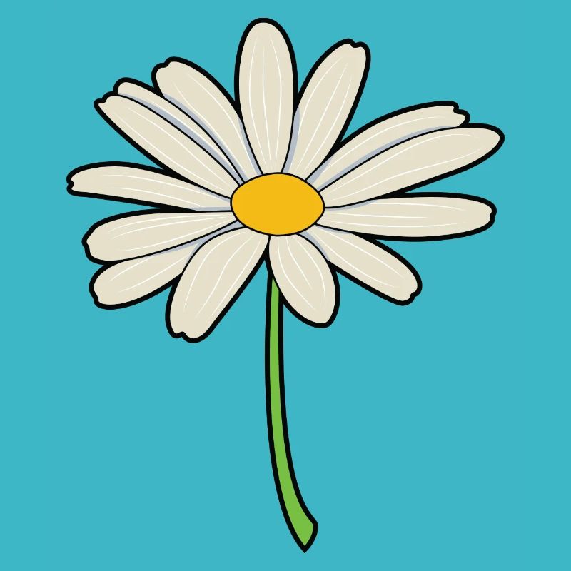 Daisy