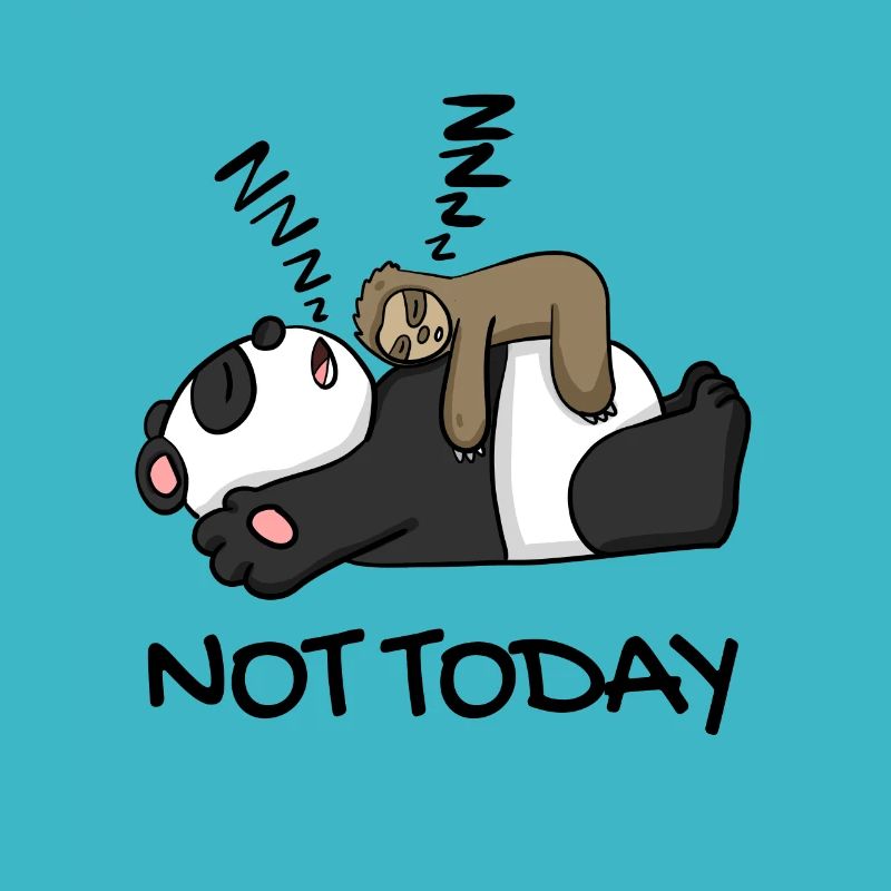 Faultier und Panda