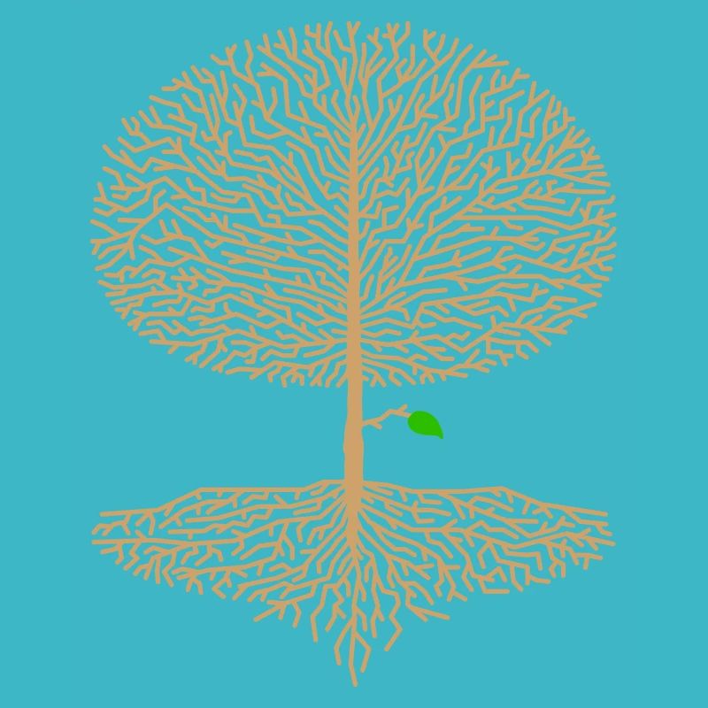 Laubbaum Krone Wald Eiche Buche Natur Ast Hoffnung