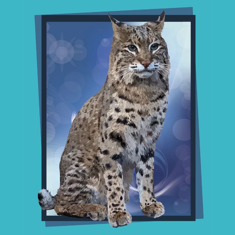 Luchs