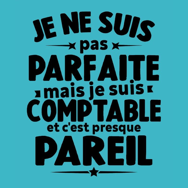 Pas parfaite mais je suis comptable humour cadeau