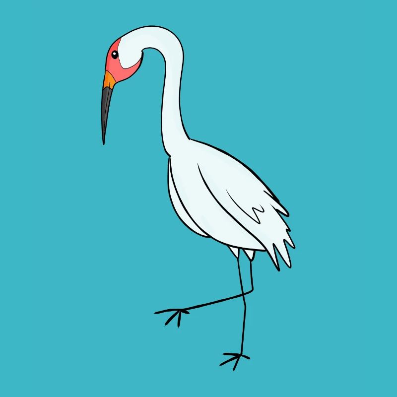 Migratory Birds Crane Bird