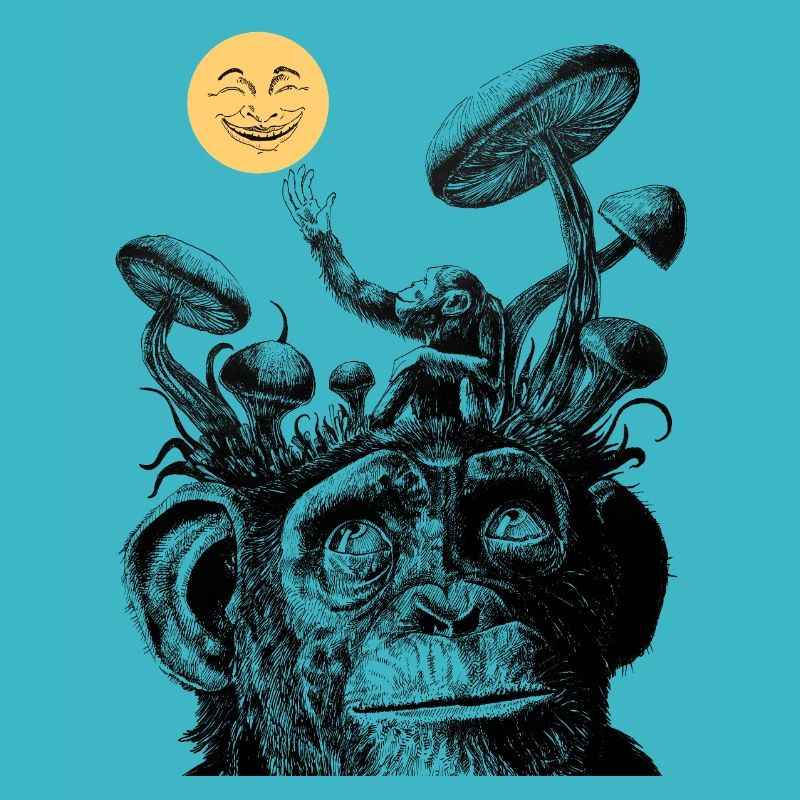Le Singe et la Lune