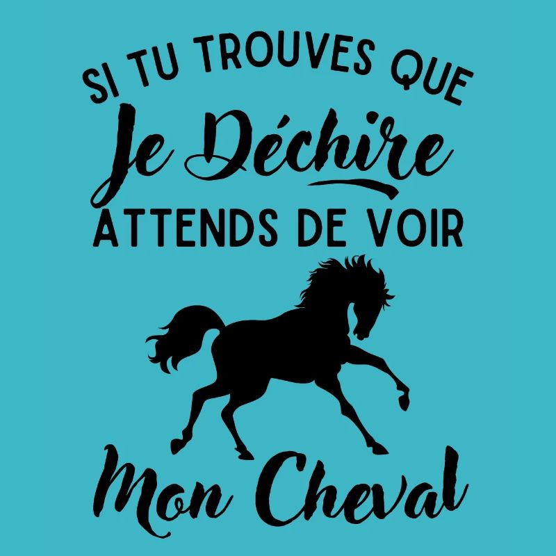 Mon cheval qui déchire 1