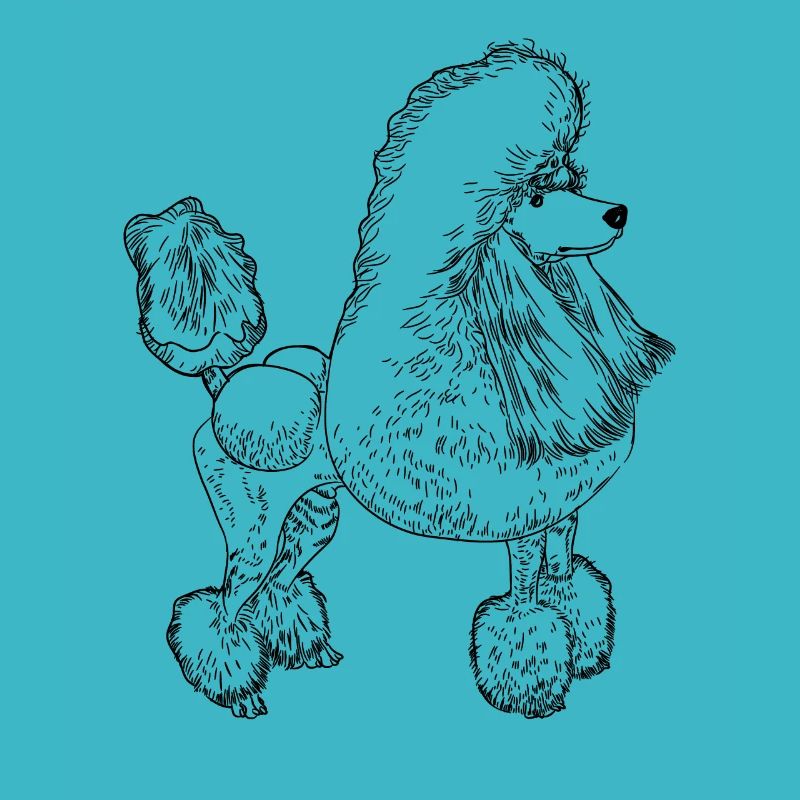 Poodle Dog