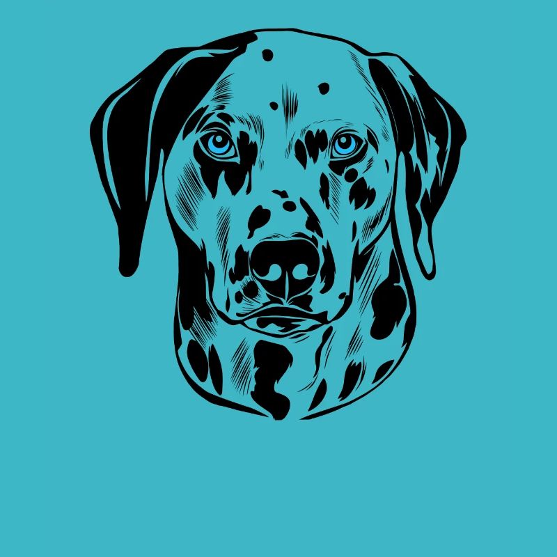 Dalmatiner Hund