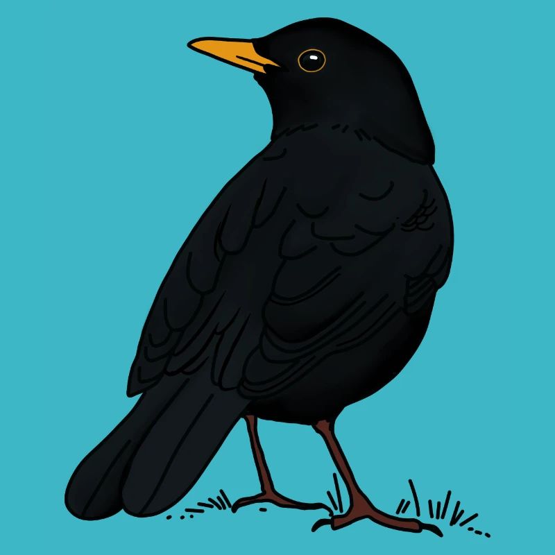 Amsel