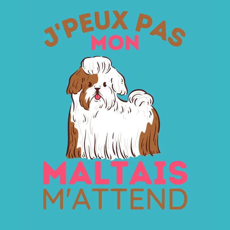 Chien maltais 1