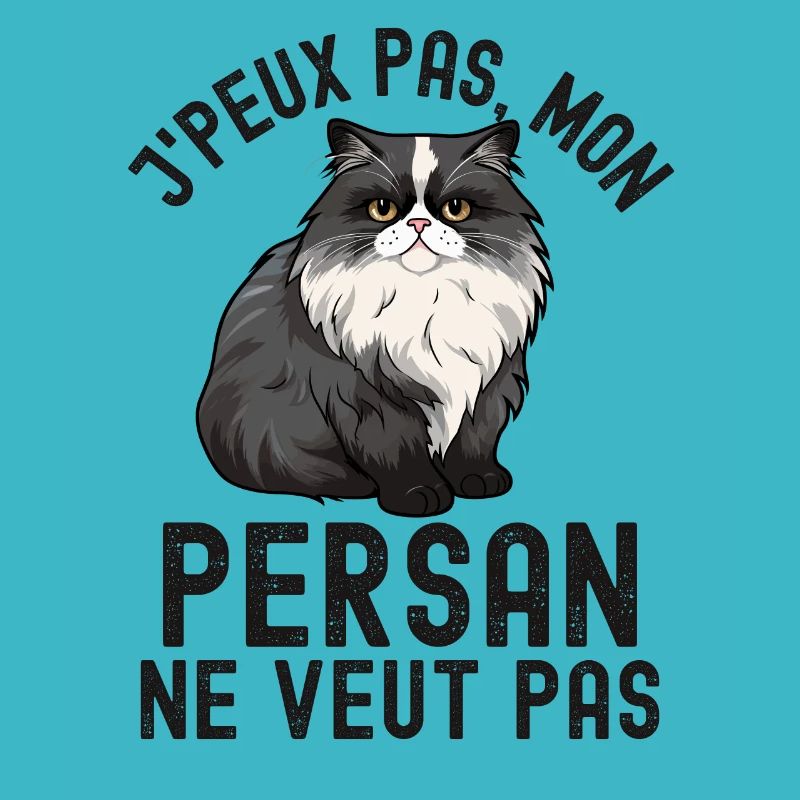 Chat de race persan