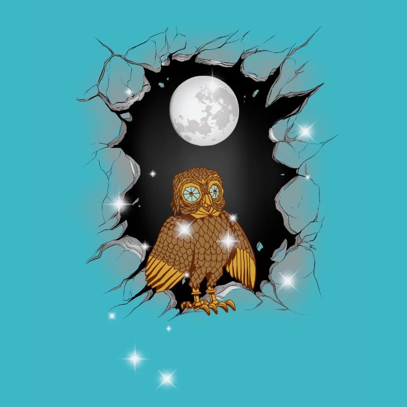 Eule Eulen Mond
