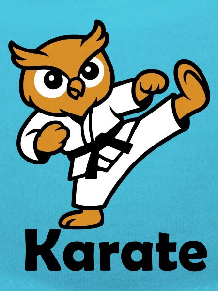 Karate Owl