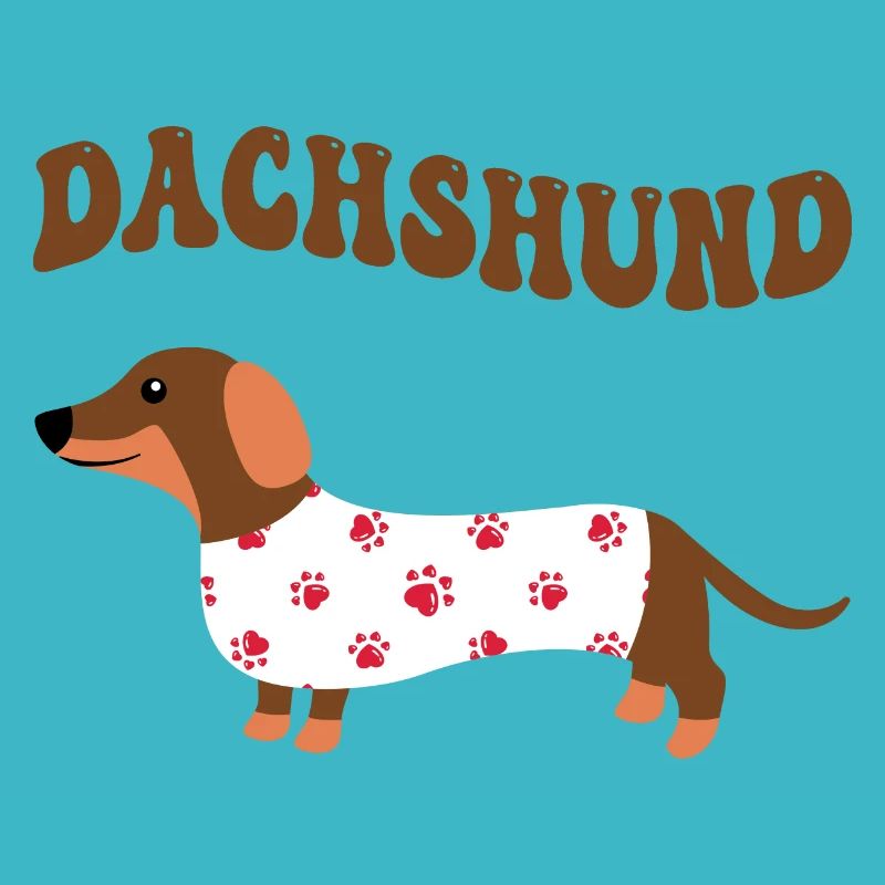 Ein lustiger Dachshund Dackel Hund