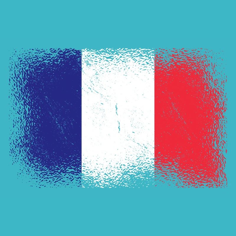 France Drapeau utilisé Look Drapeau français