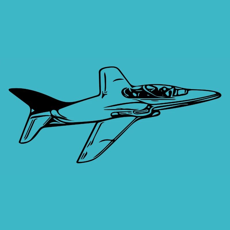 Jet Flugzeug Flieger