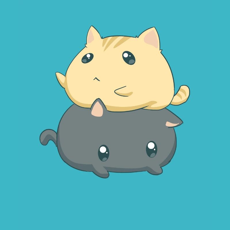 Chaton Chaton Chaton Chat