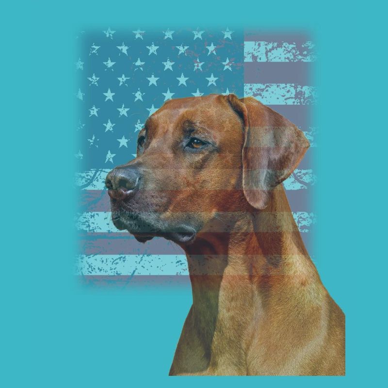 Rhodesian Ridgeback