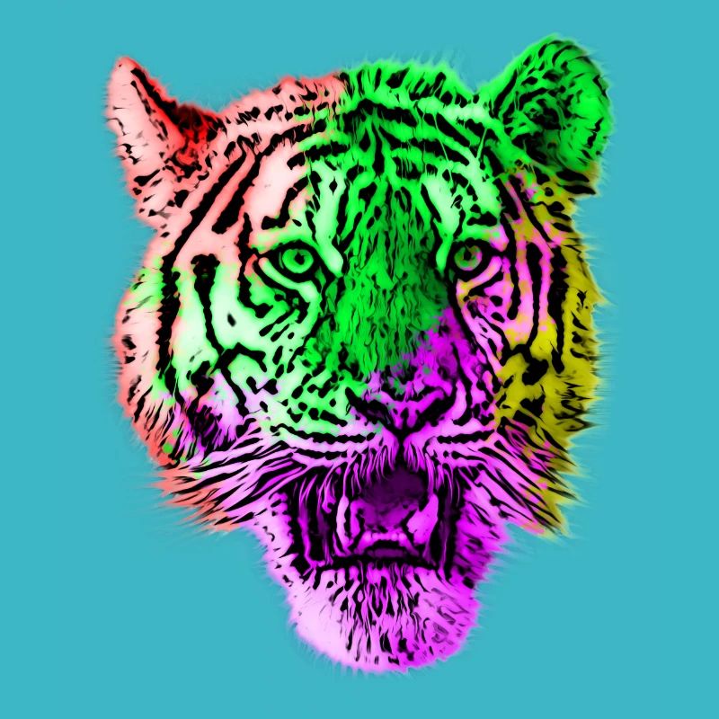 Tiger Tiere Tierrechte