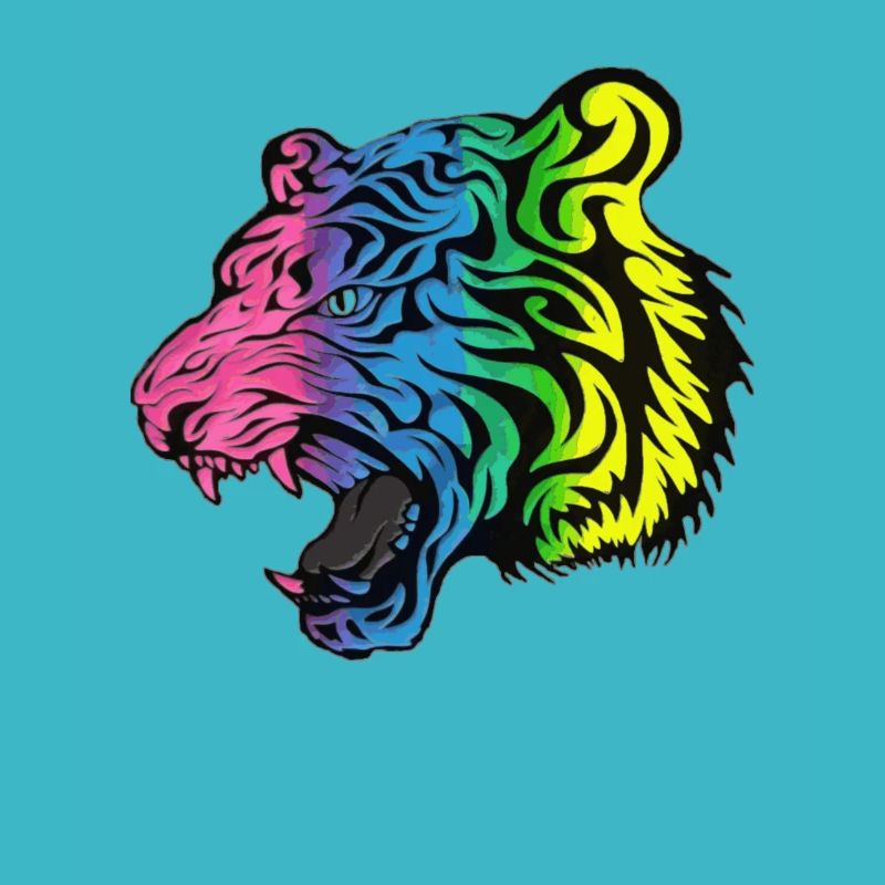 Tiger Head - Wild Cat - Wild Animals