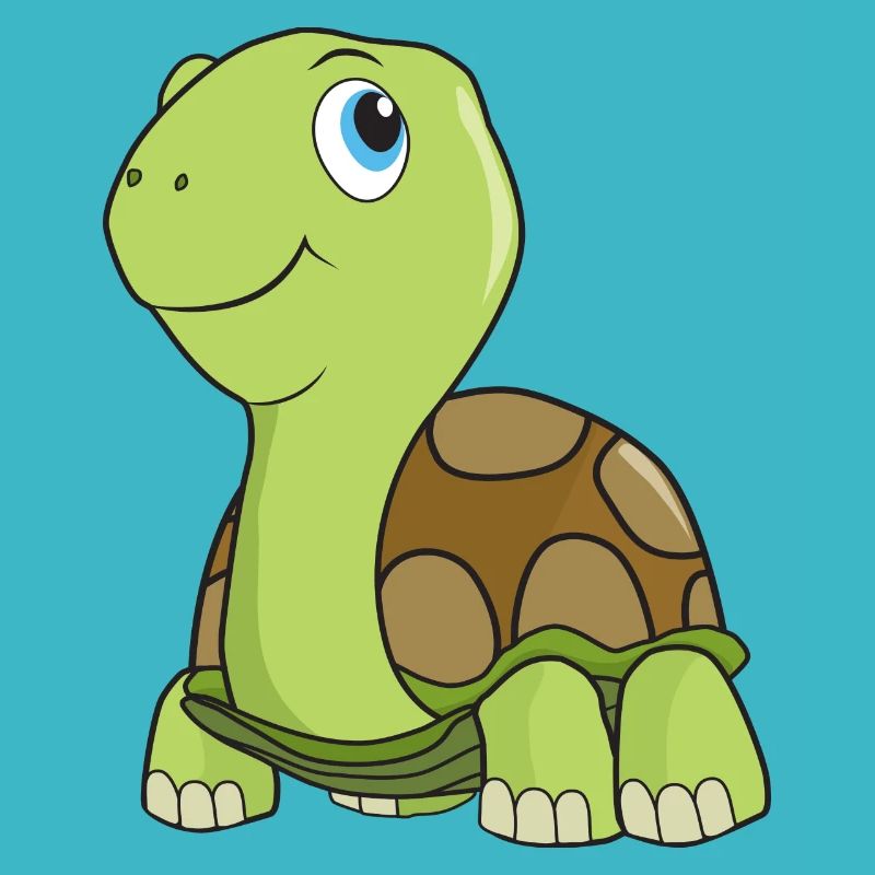 turtle