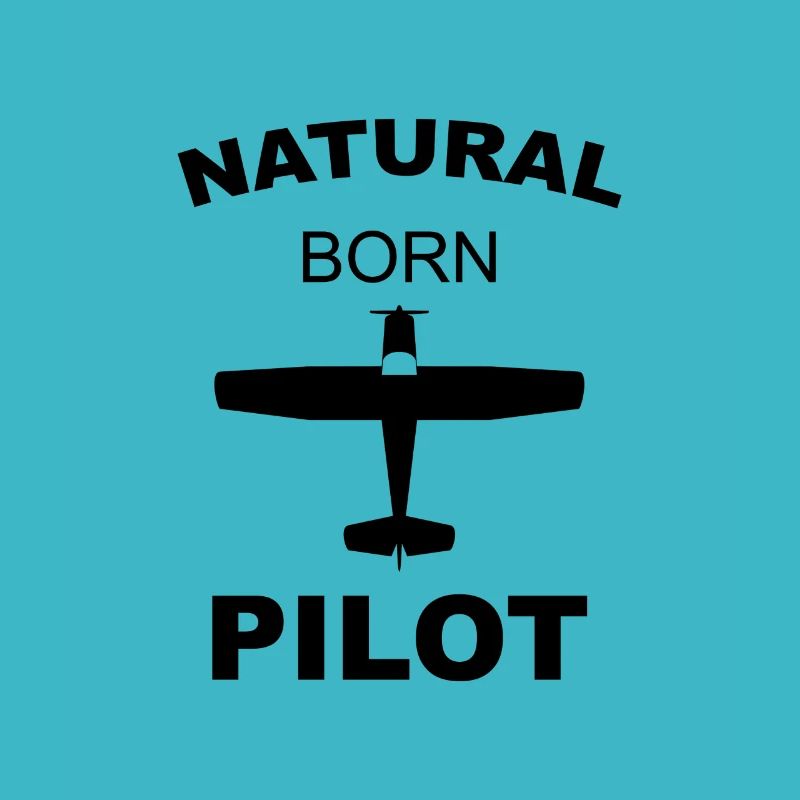 flugsport flugzeug spruch pilot