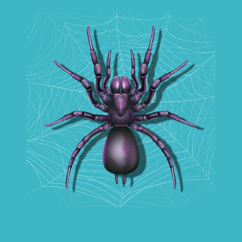 Giant Huntsman Spider