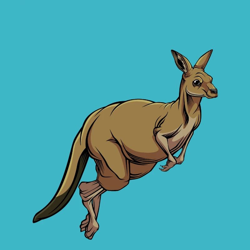 Kangaroo