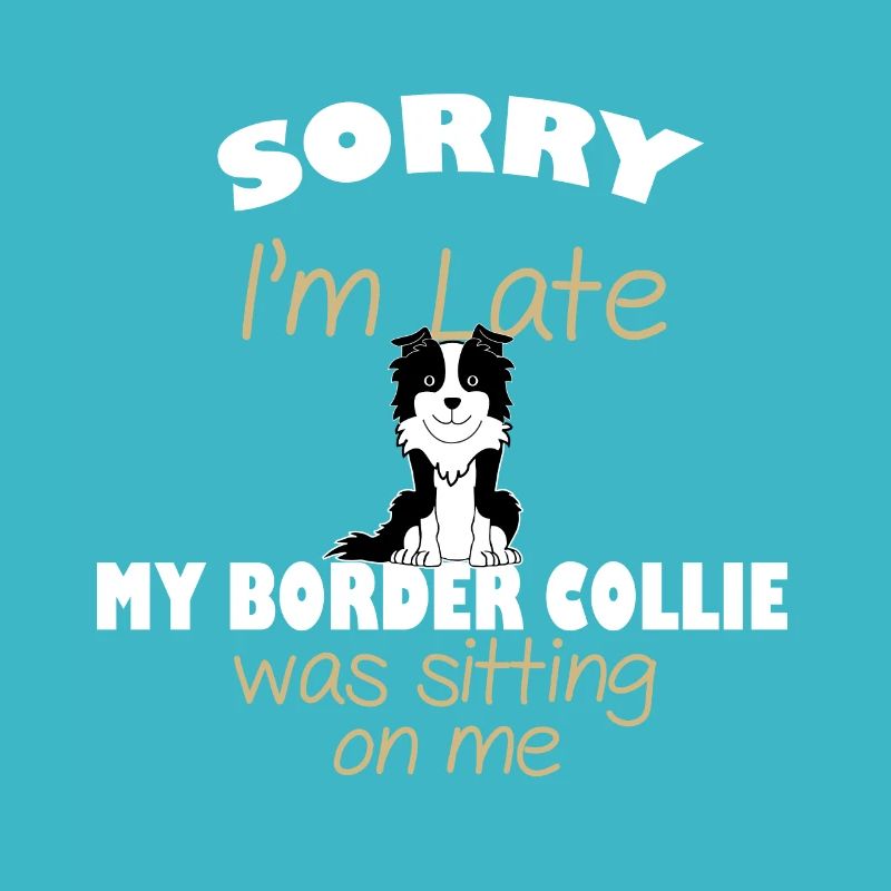 border collie