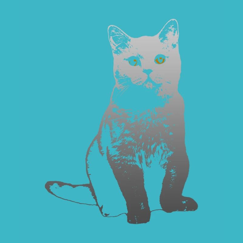 Katze