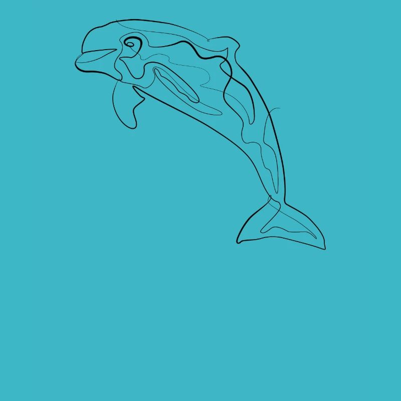 Delfin - one line drawing