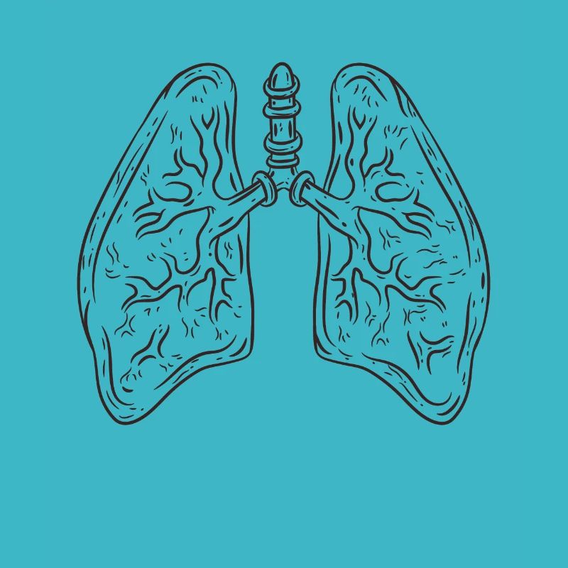 lung