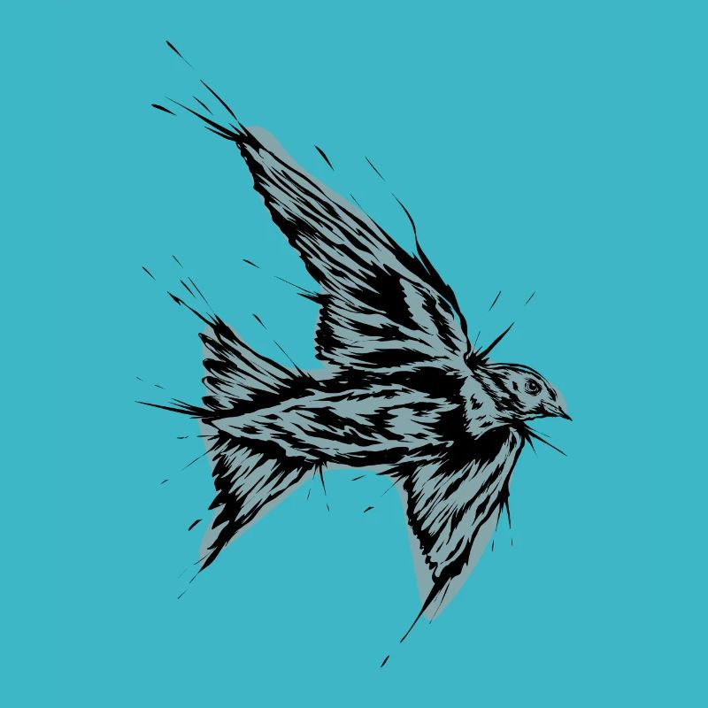 Vogel Schwalbe