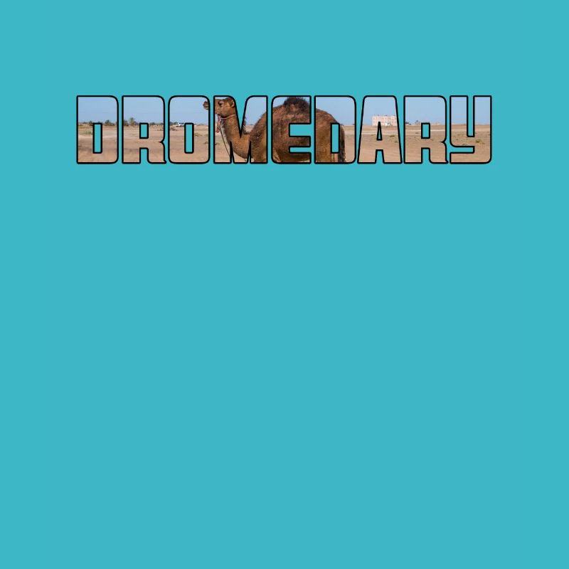 Dromedary