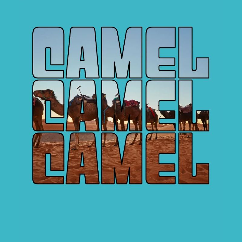 Camel