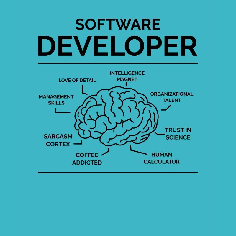 Software Entwickler