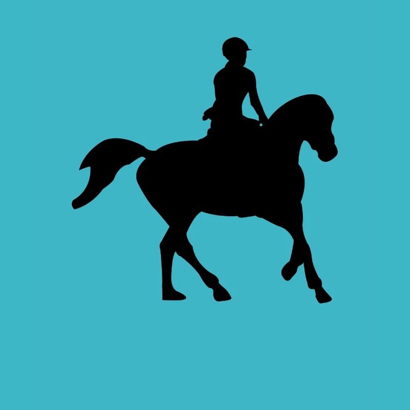 Pferde Reiten