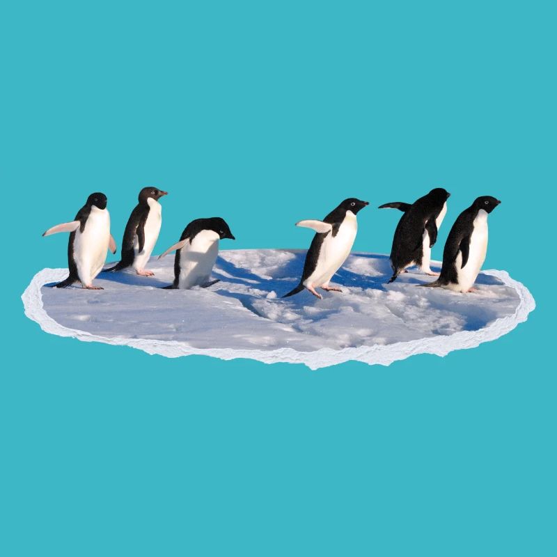 Pinguine auf einer Eisscholle Pinguin