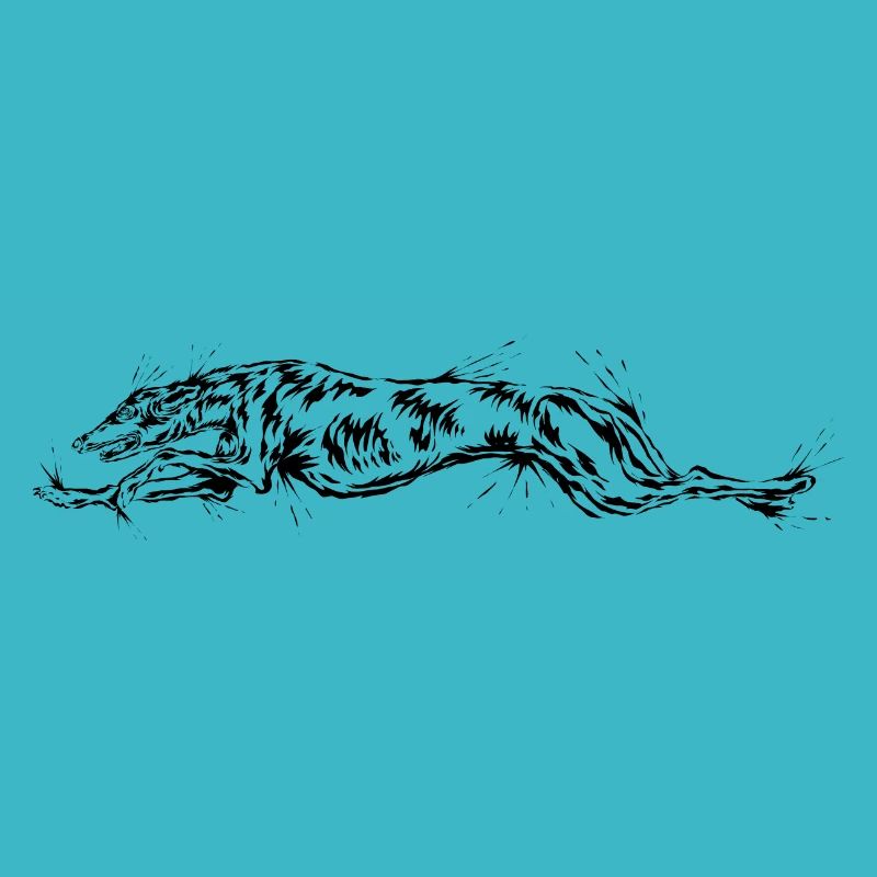 Greyhound