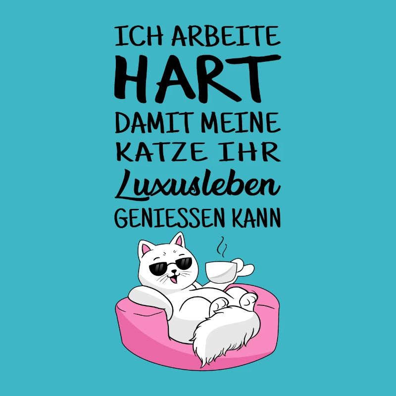 image de chat amusant vie de luxe chat ami chat