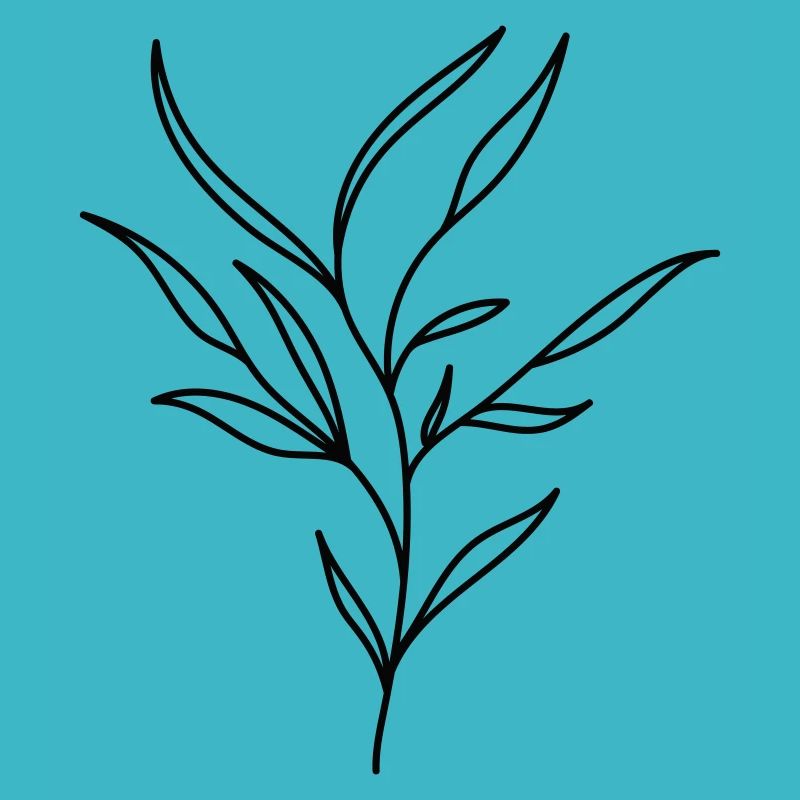 Shrub, shrubs, branch